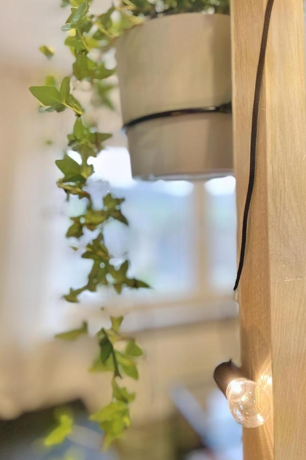 Ruhiges Naturparadies Fuer 4 Mit Kueche Schreibtisch Und Boxbett ヴェター エクステリア 写真